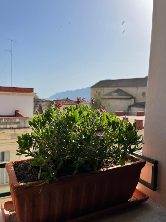 A Casa Di Stella Lejlighed Salerno Eksteriør billede